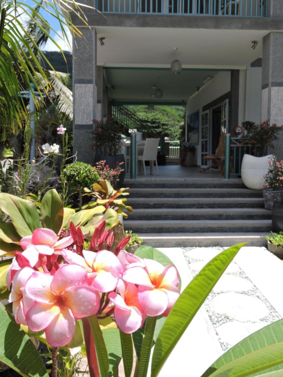 לה דיג Villa Charme De L'Ile מראה חיצוני תמונה